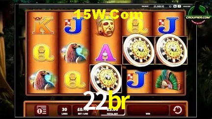 22br
