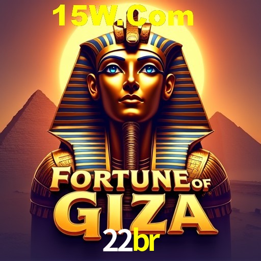  22br app